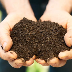 اهمیت خاک و نقش آن در زندگی انسان