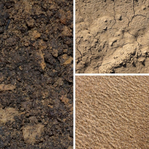 انواع مختلف خاک و ویژگی های آنها