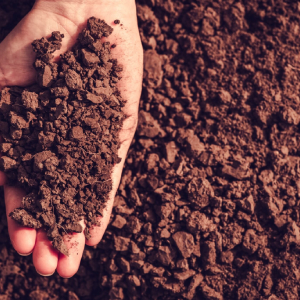 تشخیص نوع خاک مناسب برای باغچه و گیاهان