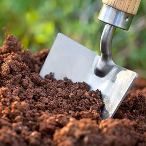 تاثیر خاک و کود بر سلامت و کیفیت محصولات کشاورزی